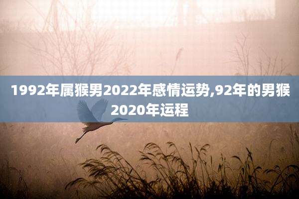 1992年属猴男2022年感情运势,92年的男猴2020年运程