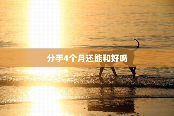 分手4个月还能和好吗