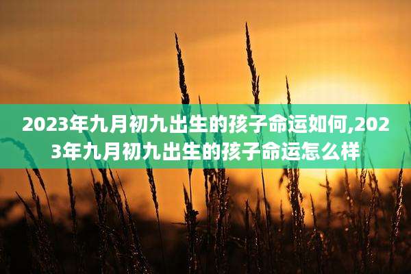 2023年九月初九出生的孩子命运如何,2023年九月初九出生的孩子命运怎么样