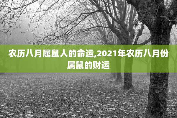 农历八月属鼠人的命运,2021年农历八月份属鼠的财运