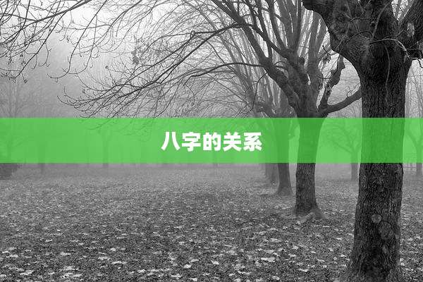 八字的关系