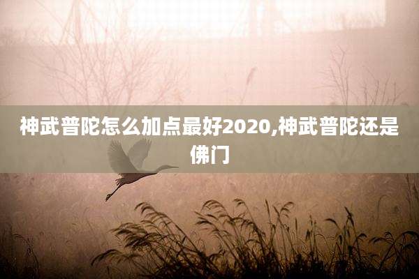 神武普陀怎么加点最好2020,神武普陀还是佛门