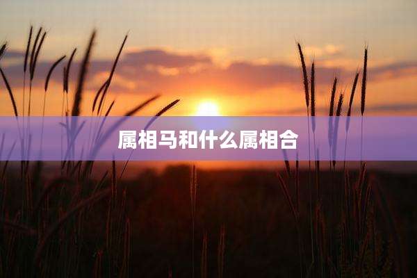 属相马和什么属相合
