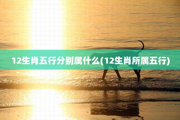12生肖五行分别属什么(12生肖所属五行)