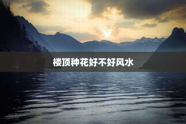 楼顶种花好不好风水