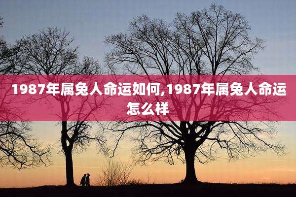 1987年属兔人命运如何,1987年属兔人命运怎么样