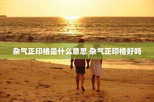 杂气正印格是什么意思 杂气正印格好吗