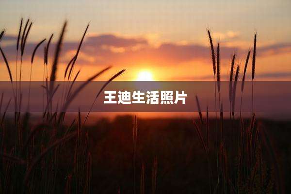 王迪生活照片