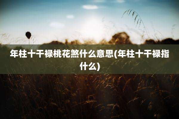 年柱十干禄桃花煞什么意思(年柱十干禄指什么)