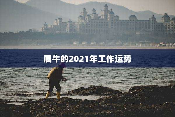 属牛的2021年工作运势