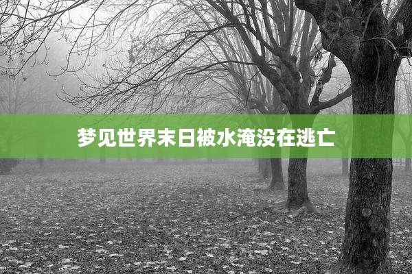 梦见世界末日被水淹没在逃亡