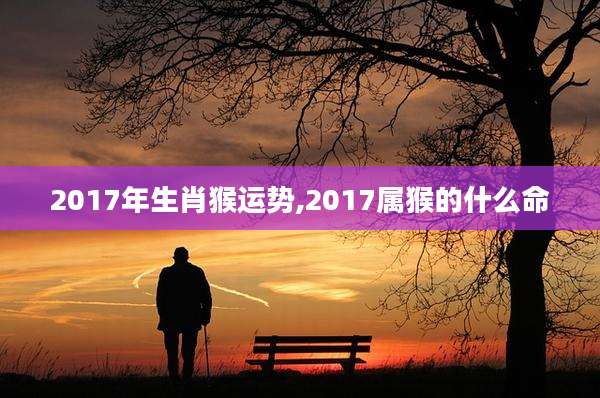 2017年生肖猴运势,2017属猴的什么命