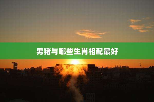 男猪与哪些生肖相配最好