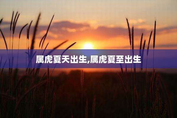 属虎夏天出生,属虎夏至出生