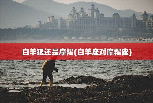 白羊狠还是摩羯(白羊座对摩羯座)