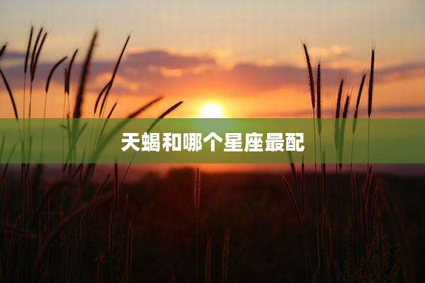 天蝎和哪个星座最配
