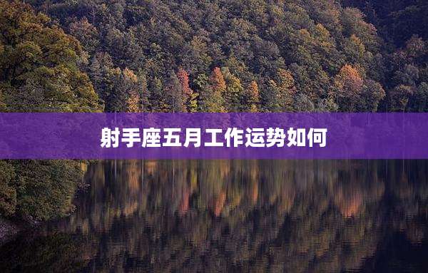 射手座五月工作运势如何