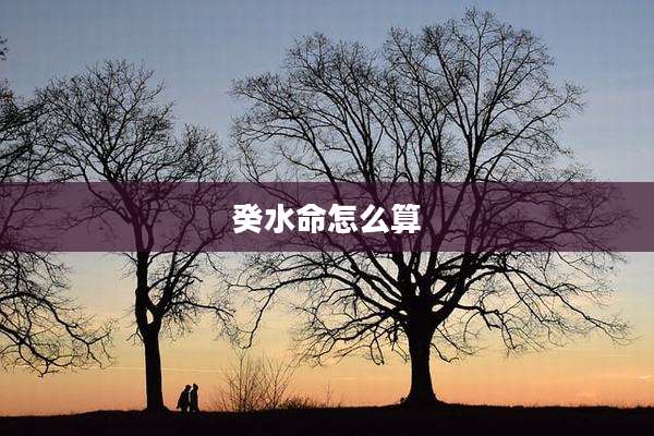 癸水命怎么算