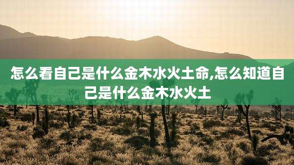 怎么看自己是什么金木水火土命,怎么知道自己是什么金木水火土