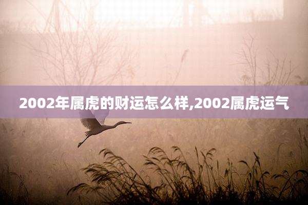 2002年属虎的财运怎么样,2002属虎运气