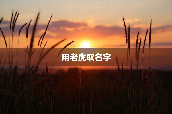 用老虎取名字