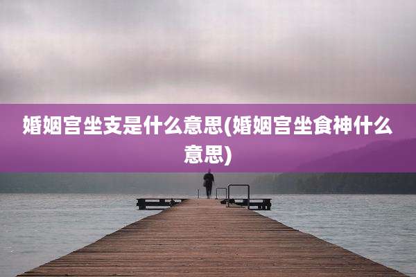 婚姻宫坐支是什么意思(婚姻宫坐食神什么意思)