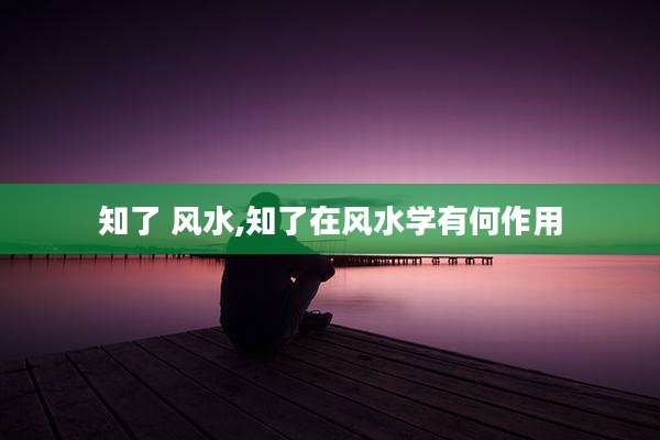 知了 风水,知了在风水学有何作用