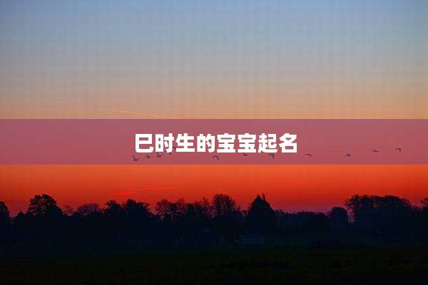 巳时生的宝宝起名