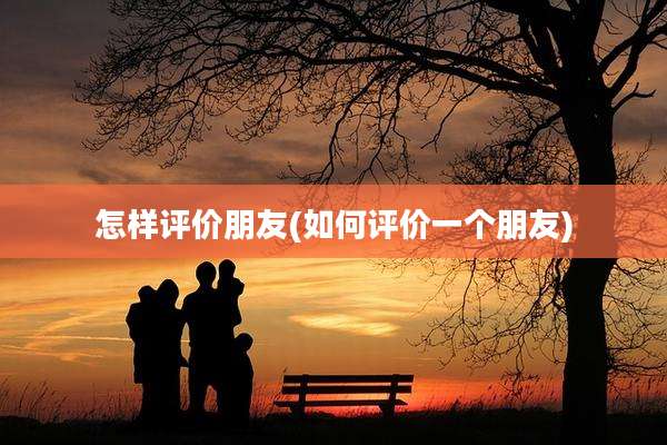 怎样评价朋友(如何评价一个朋友)