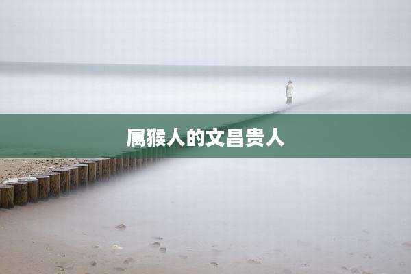 属猴人的文昌贵人