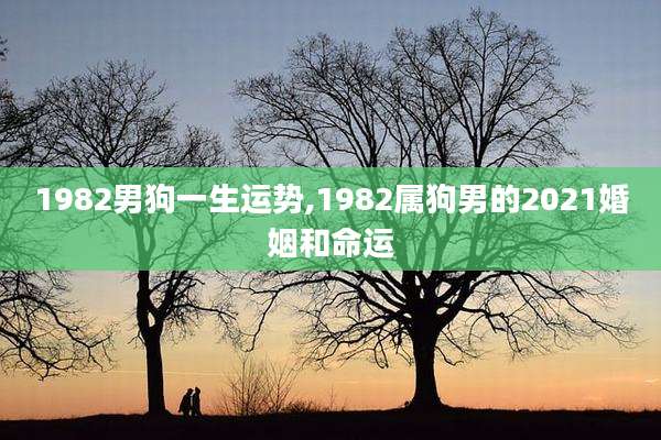 1982男狗一生运势,1982属狗男的2021婚姻和命运