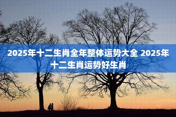 2025年十二生肖全年整体运势大全 2025年十二生肖运势好生肖