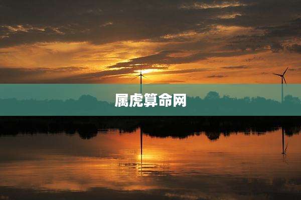 属虎算命网
