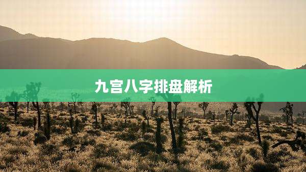 九宫八字排盘解析