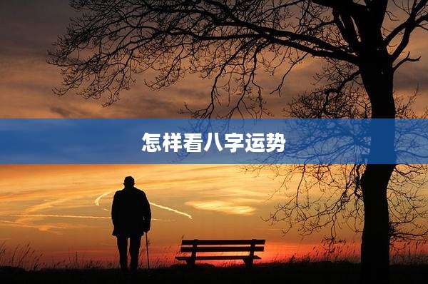 怎样看八字运势