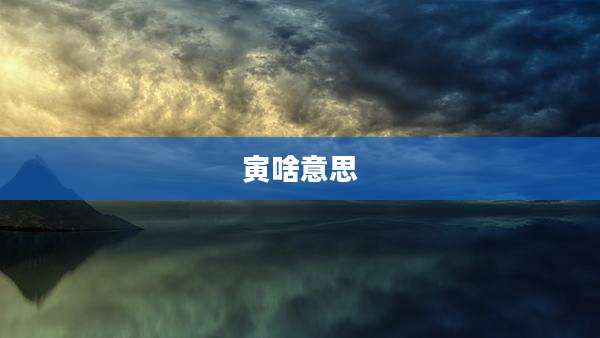 寅啥意思