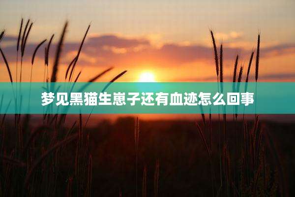 梦见黑猫生崽子还有血迹怎么回事