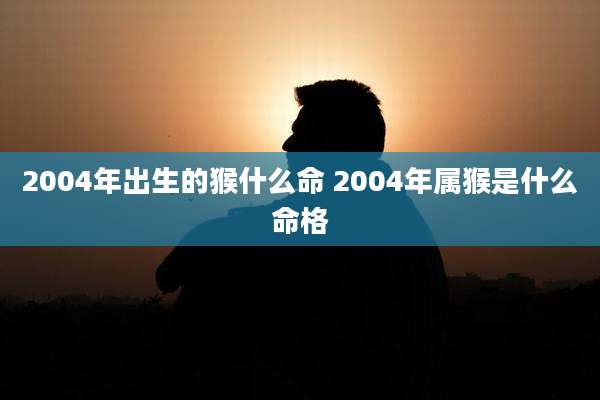 2004年出生的猴什么命 2004年属猴是什么命格