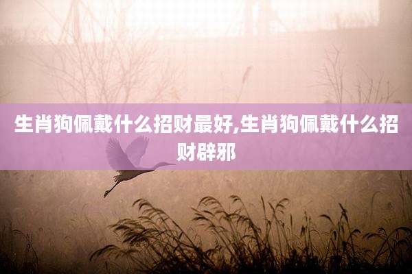 生肖狗佩戴什么招财最好,生肖狗佩戴什么招财辟邪