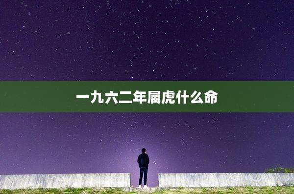 一九六二年属虎什么命