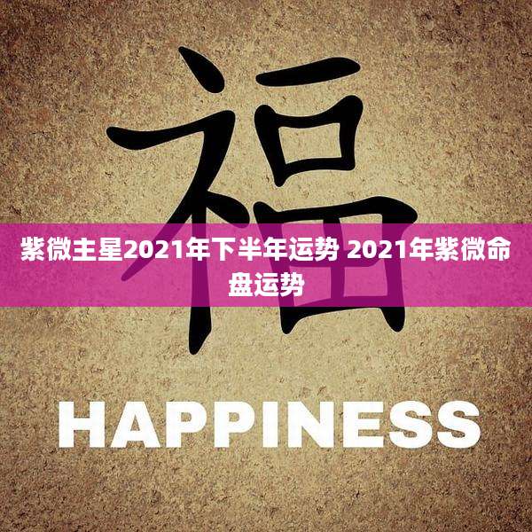 紫微主星2021年下半年运势 2021年紫微命盘运势