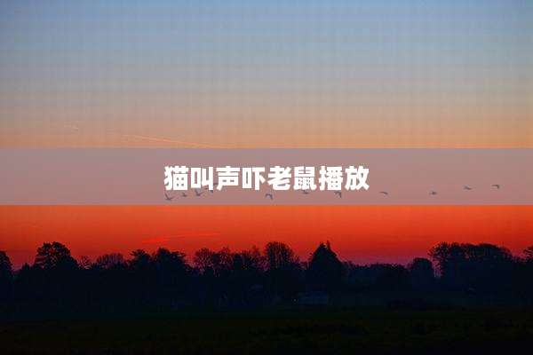 猫叫声吓老鼠播放