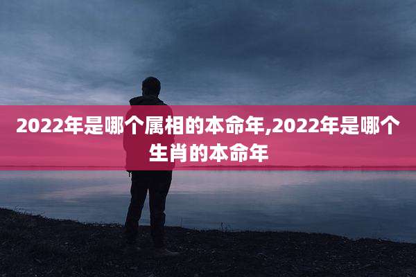 2022年是哪个属相的本命年,2022年是哪个生肖的本命年