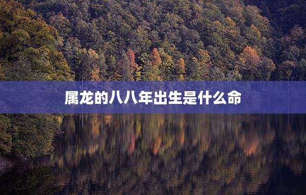 属龙的八八年出生是什么命