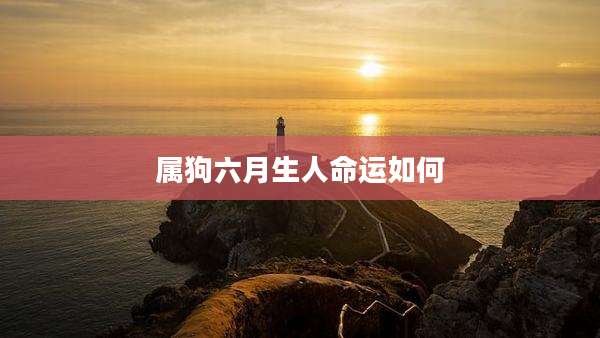 属狗六月生人命运如何