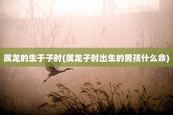 属龙的生于子时(属龙子时出生的男孩什么命)