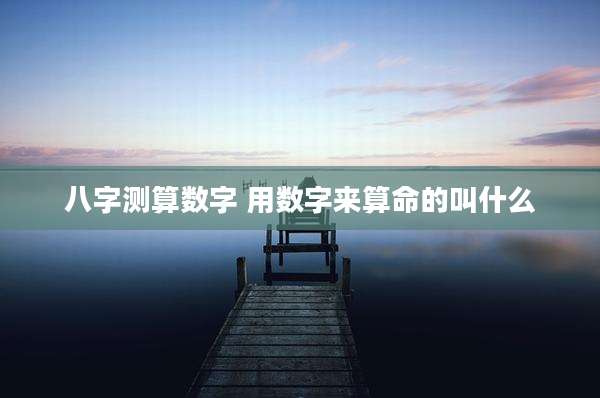 八字测算数字 用数字来算命的叫什么