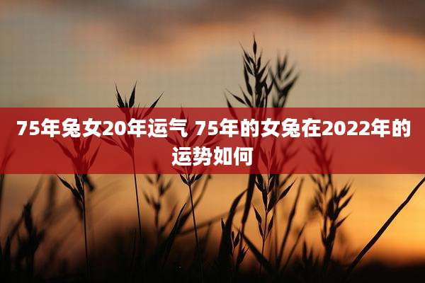 75年兔女20年运气 75年的女兔在2022年的运势如何