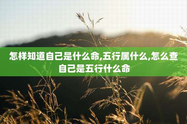 怎样知道自己是什么命,五行属什么,怎么查自己是五行什么命