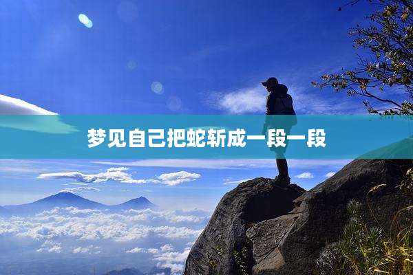 梦见自己把蛇斩成一段一段